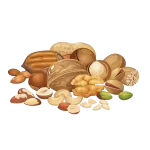 خشکبار