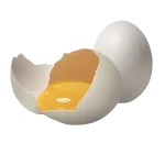 تخم مرغ